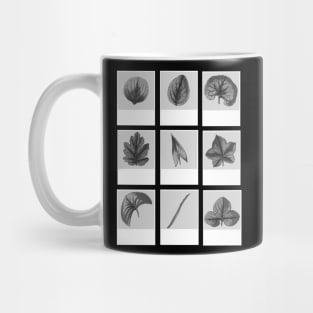 Aesthetic Plants Mug